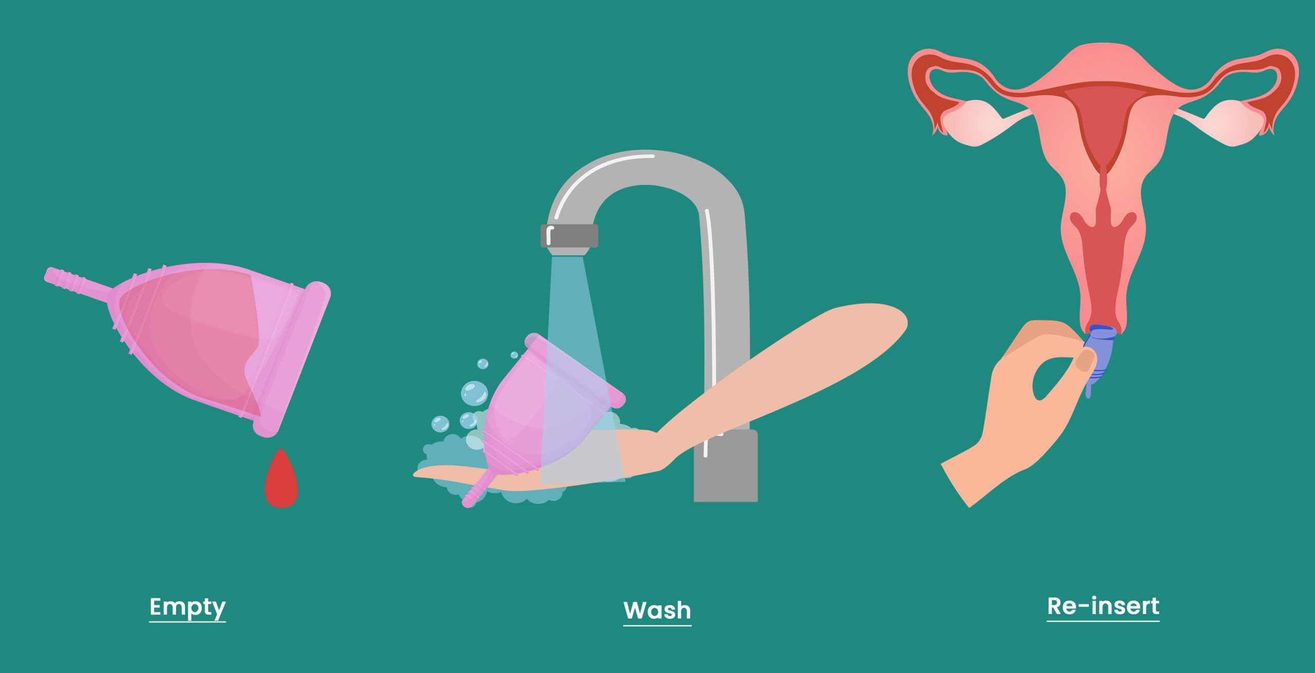empty wash reinsert